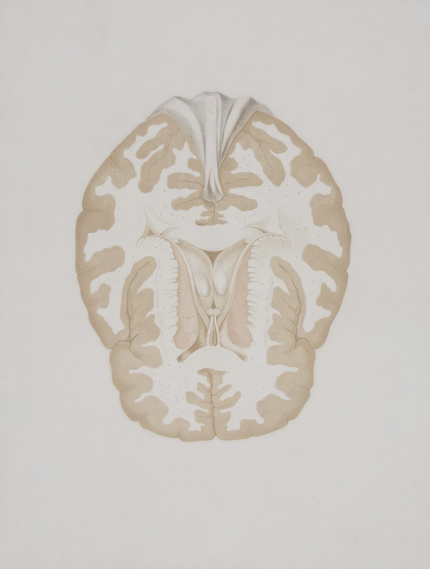 Understanding Sensory Processing in Asperger’s Syndrome